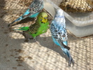DSC05888