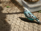 DSC05891