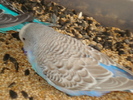 DSC05892