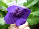 P1260335
