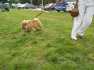 Picture 061
