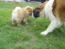 Picture 062