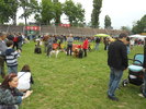 Picture 064