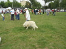 Picture 066