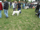 Picture 067