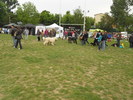 Picture 068