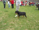 Picture 071