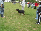 Picture 072