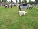 Picture 075
