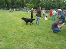Picture 078