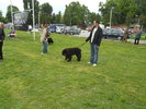 Picture 079