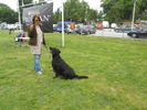 Picture 082