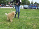 Picture 084