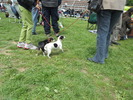 Picture 086