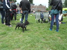 Picture 087