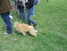Picture 089