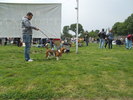 Picture 090