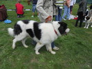 Picture 092