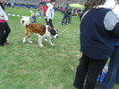 Picture 093