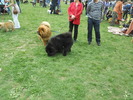 Picture 094