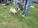 Picture 095