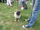 Picture 096