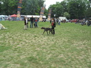 Picture 098
