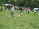 Picture 102