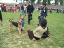 Picture 103