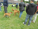 Picture 104