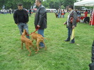Picture 105