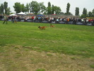 Picture 110