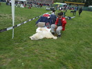 Picture 113