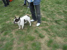 Picture 115