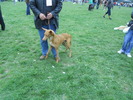 Picture 120