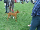 Picture 121