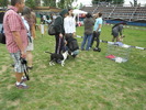 Picture 124