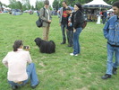 Picture 127