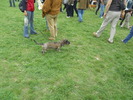 Picture 130