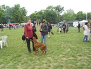 Picture 131