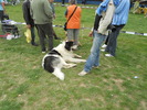 Picture 132