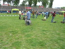 Picture 136