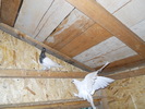 Picture 214