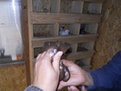 Picture 215