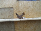 Picture 228