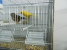 Picture 270