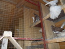 Picture 012