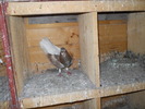Picture 016