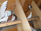 Picture 020