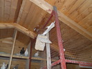 Picture 021
